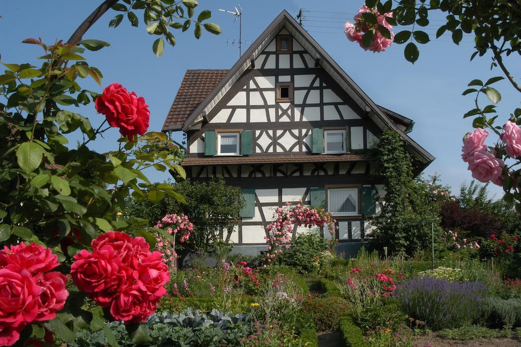 Pflugwirts Hotel Und Gasthaus Oberkirch  Exteriör bild